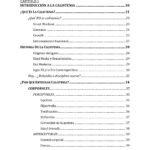 Calistenia: Controla tu cuerpo y controlarás tu vida 1 - Bases - Image 2