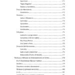 Calistenia: Controla tu cuerpo y controlarás tu vida 1 - Bases - Image 8